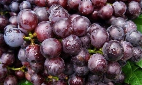 葡萄对人体有哪些好处和坏处