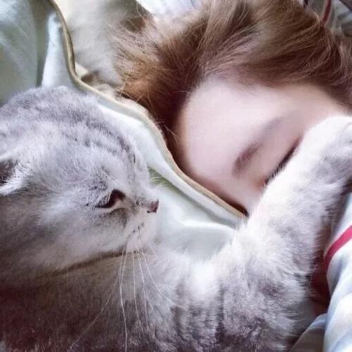 美女抱猫咪的头像图片