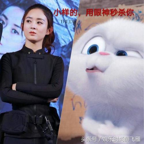 赵丽颖和萌萌哒兔子表情包最全收藏版,颖宝把兔子带坏了
