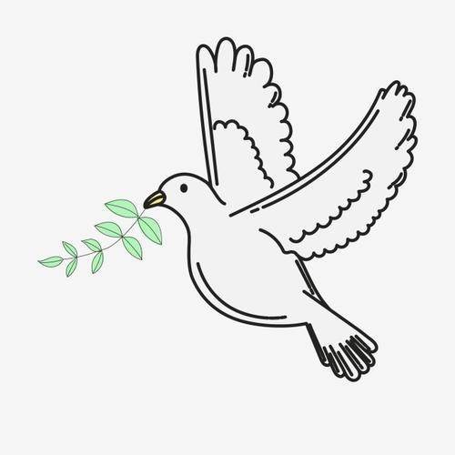 和平鸽简笔画:和平和平鸽和平鸽简笔画和平鸽简笔画图片集锦