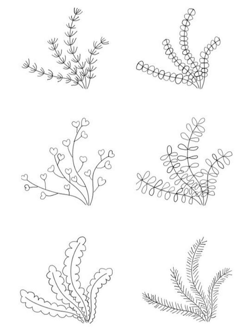 六种海草画法