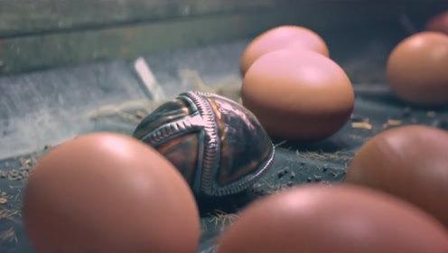 搞笑短片:母鸡为了生存,生下一只特殊的蛋,从此走上鸡生巅峰