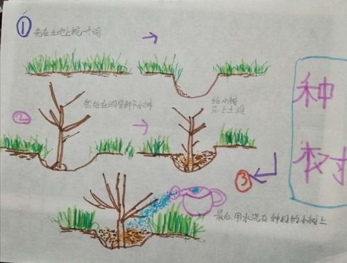 播种快乐,我与小树共成长——章村幼儿园大班3月12日植树节花絮
