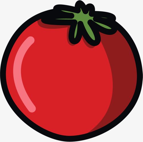 蔬菜速写西红柿卡通