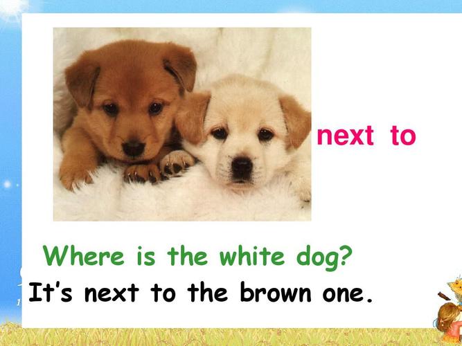 next to where is the white dog? it's next to the brown one.