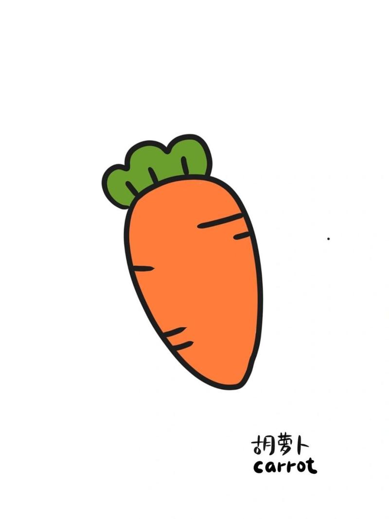 蔬菜植物系列9799简笔画:超简单的胡萝卜09 今日份超简单的胡