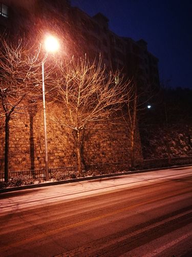 站在路旁的路灯在下雪天也变的格外美丽和明亮