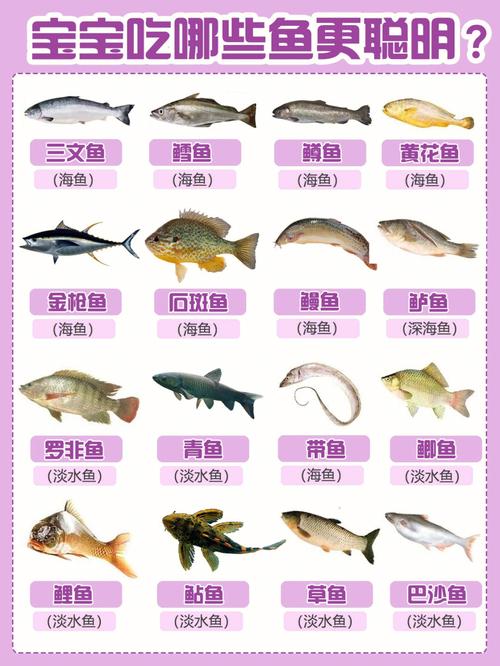 宝宝吃鱼更聪明各类鱼的区别及营养价值