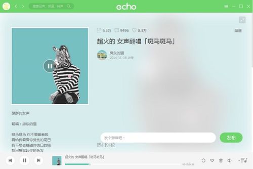 echo回声--echo回声v1.0.0.0电脑版 - 绿色下载站