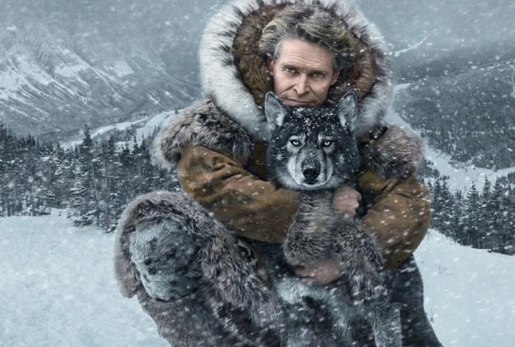 一部阿拉斯加雪橇犬送血清救命的催泪电影-《多哥》解说