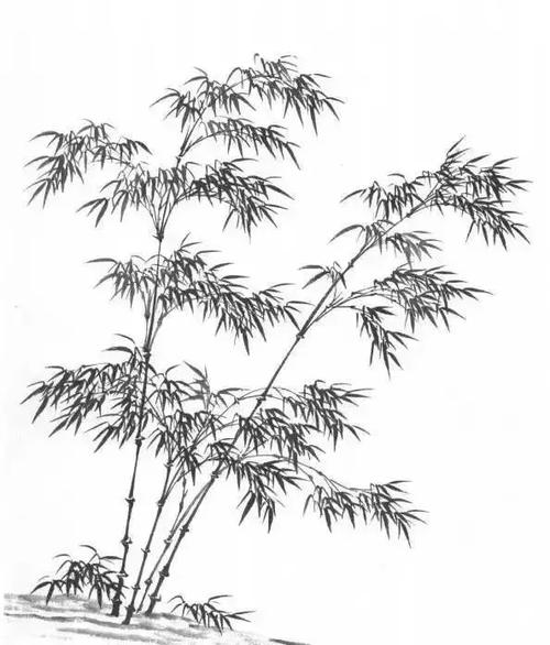 山水画基础技法,树,竹,芦苇