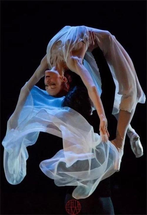 最美的姿势:舞蹈展现人体曲线力量与美