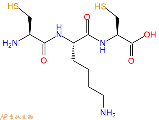 半胱氨酸-lys 赖氨酸-cys 半胱氨酸-cooh 暂无说明 氨基酸个数