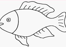 鱼的简笔画法大全大图