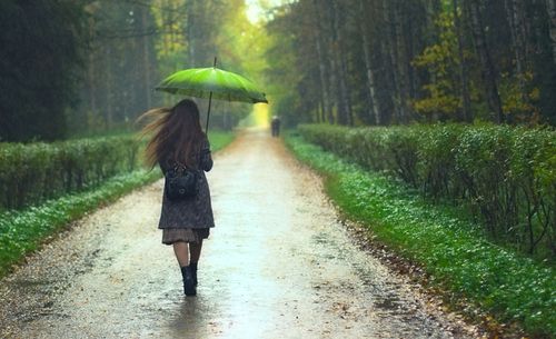 撑伞的美女背影图片下载,树林风景,林荫道路,下雨天,雨中,撑伞,打伞