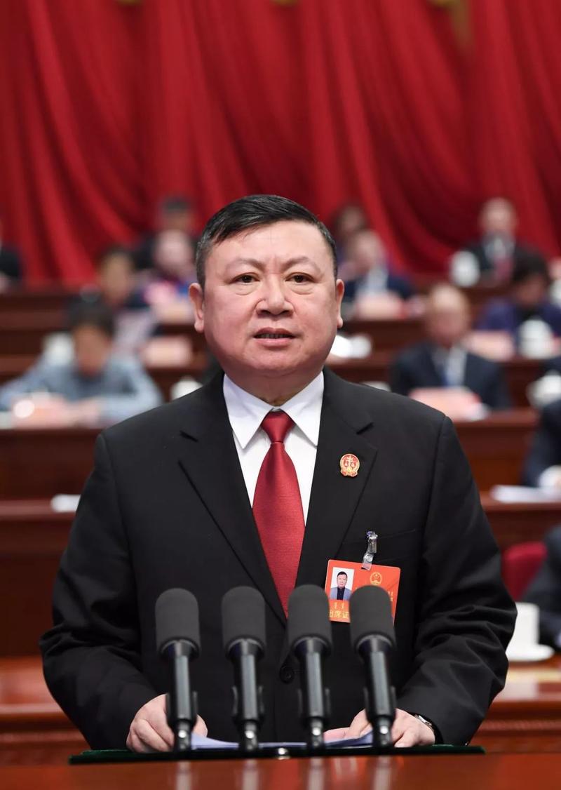 内蒙古自治区高级人民法院院长杨宗仁向自治区十三届人大作工作报告