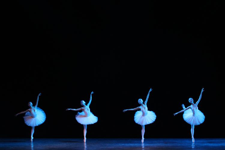 芭蕾舞《天鹅之死》表演视频推送