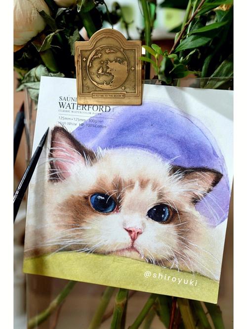布偶猫的手绘卡通图片