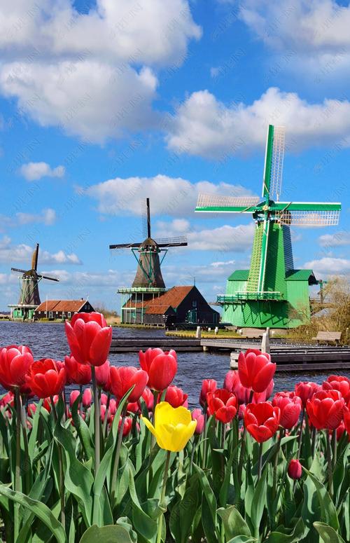 荷兰旅游最佳季节
