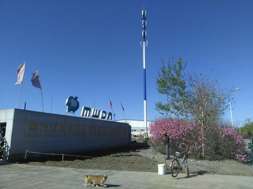 黑龙江省绥化市北林区新兴街靠近晓敏幼儿园