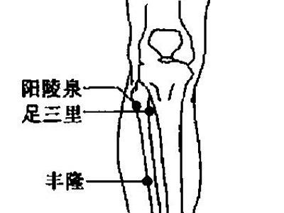 将大拇指指腹放在同侧患肢的阳陵泉穴上,其余四指附于腿肚处,适当用力