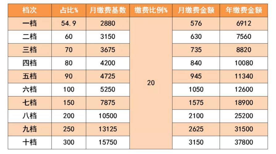 宜昌市城区灵活就业人员基本养老保险缴费标准定了_基数
