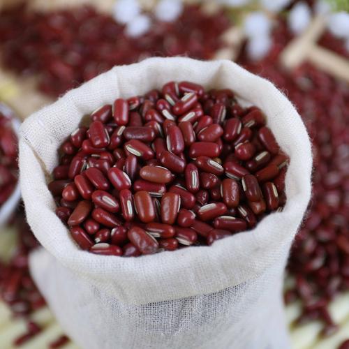 药用 长粒赤小豆新货农家自产优质 可炒赤豆薏米祛湿熟茶粉 500g