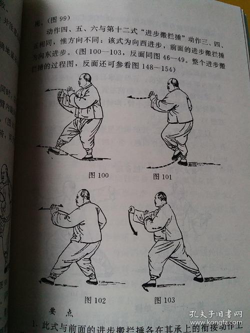 杨式太极拳 杨式太极长拳 太极拳术 85式杨式太极拳意气势练习及用法