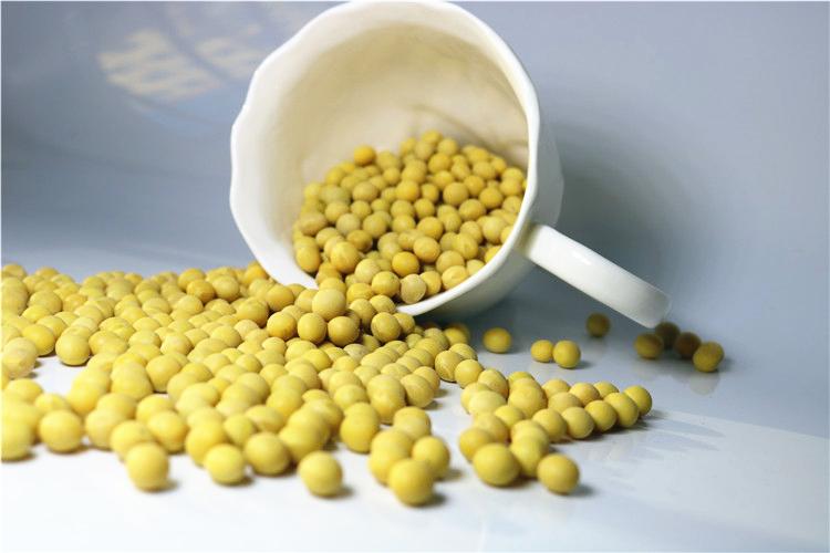 黄豆5斤转基因东北黑龙江农家自产豆浆豆芽大豆黄豆