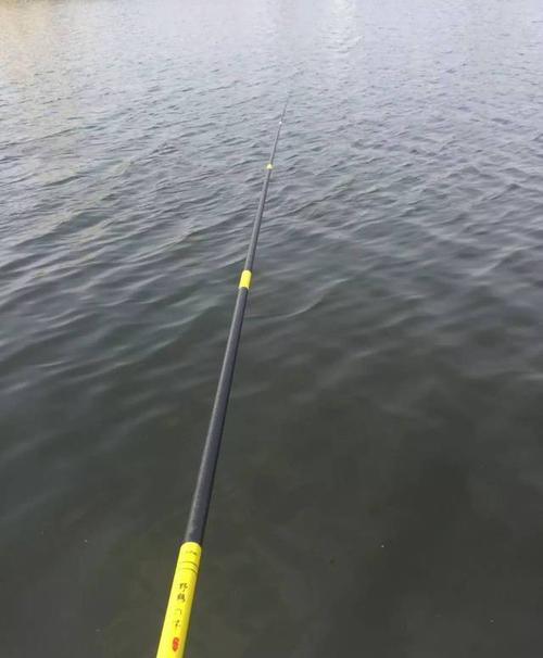 水库钓鱼用多长的手竿合适