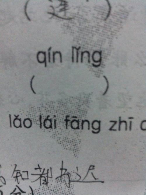 读拼音写汉字