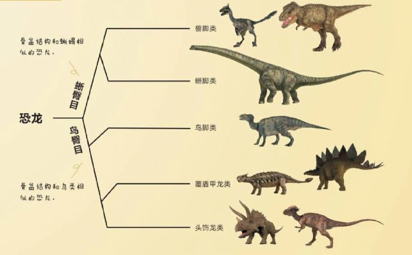 恐龙的种类和特点
