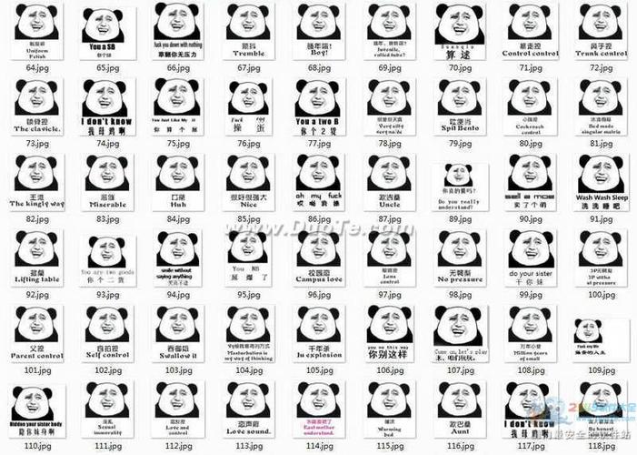 熊猫金馆长空白大图
