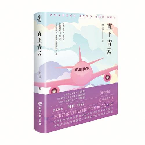 《直上青云》这是我接触看过的第二本与航空飞行的小说啦.