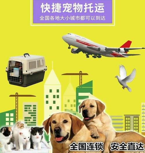 仙桃宠物空运长途车,宠物安全专运