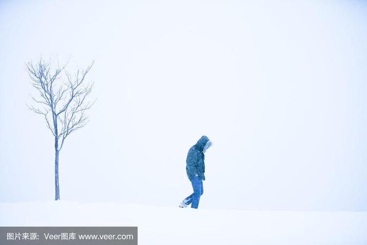 一个人走在雪中的成语