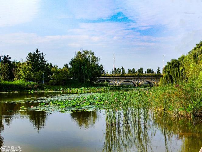 渭河北岸漂亮的景区--泾渭分明生态半岛-咸阳论坛-华商论坛