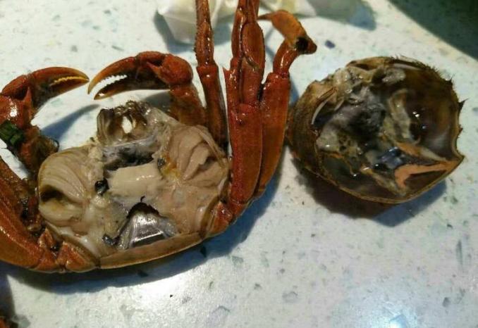 死螃蟹为什么不能吃?吃了会怎么样?