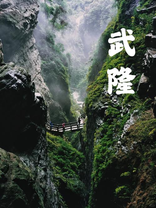 重庆旅游攻略重庆市区武隆周边县区本地导游带你玩转山城