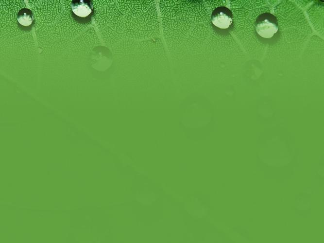 草绿,绿草背景图片,绿色ppt背景图