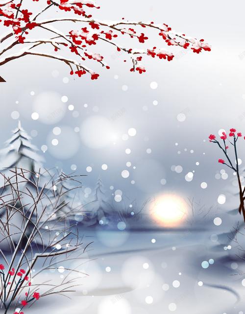 冬天梅花树枝装饰光效背景图