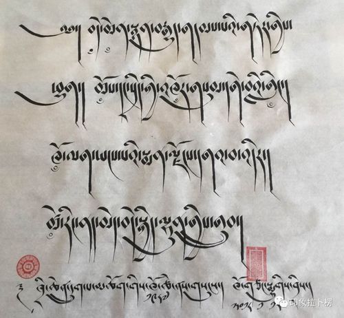 藏文书法迎新年完整版
