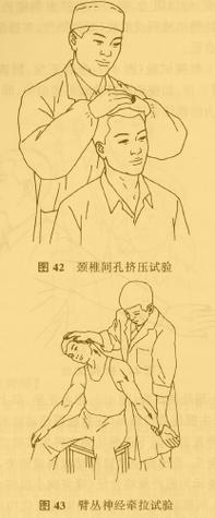 中医药频道 中药检索    (2)叩顶试验(图41):患者正坐位,颈,胸,腰挺直