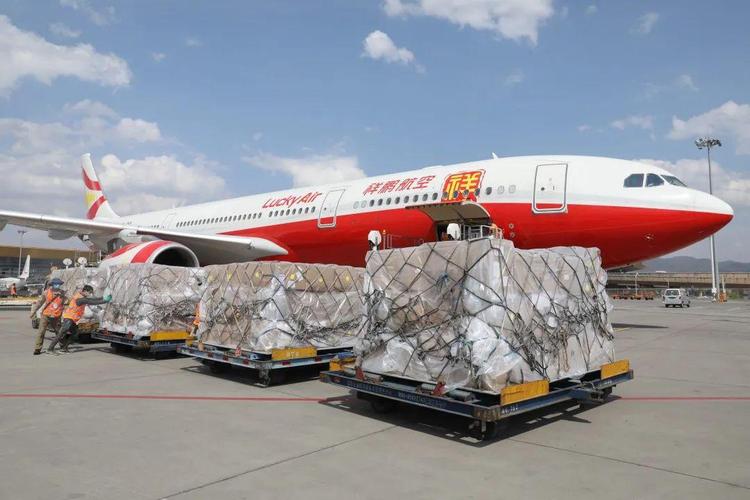 云南省首个货运包舱航班顺利抵达曼谷