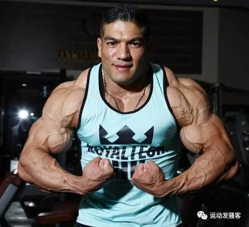中国肌肉巨兽叫什么亚