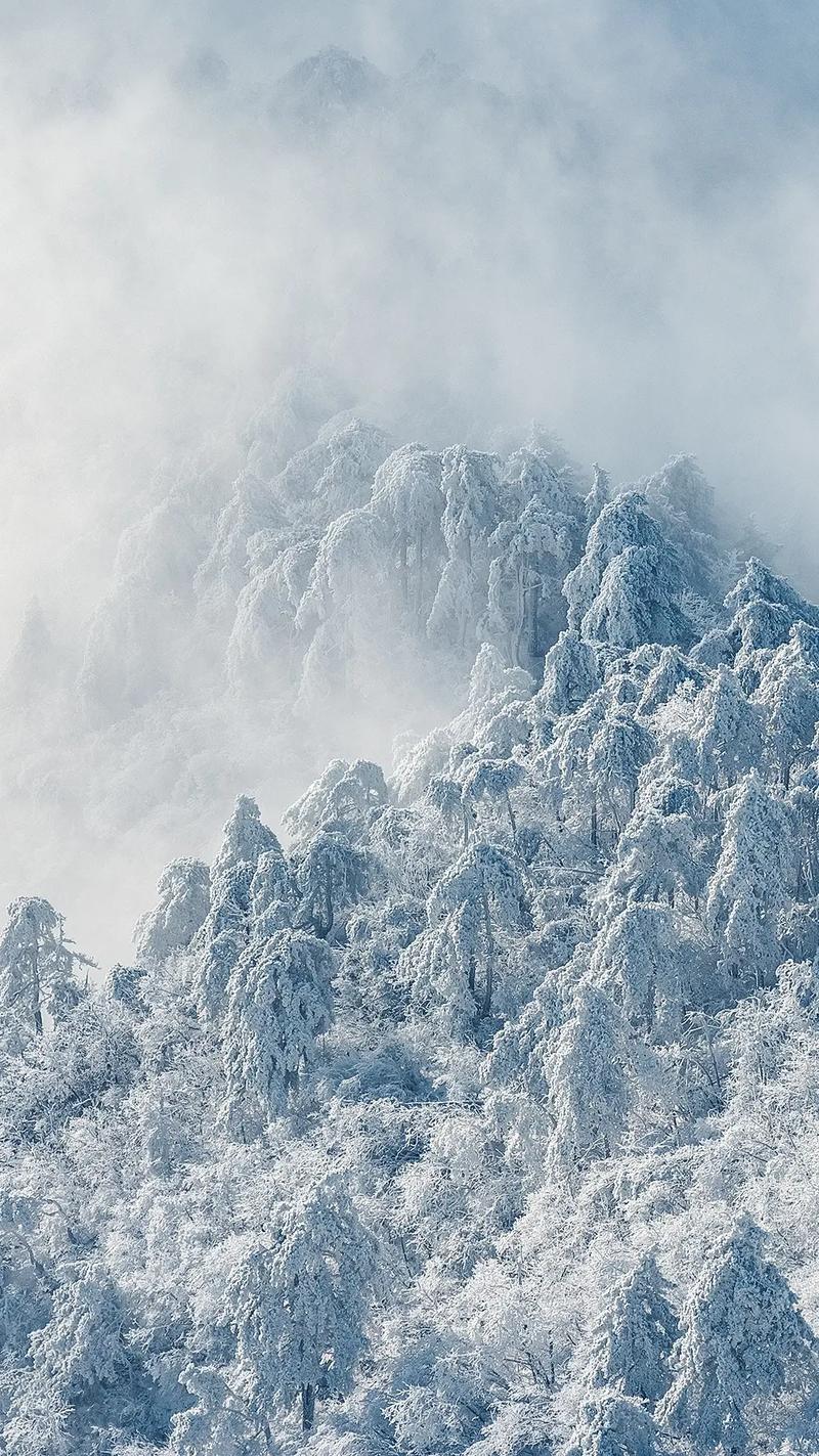 真不敢相信这是大杭州的雪景