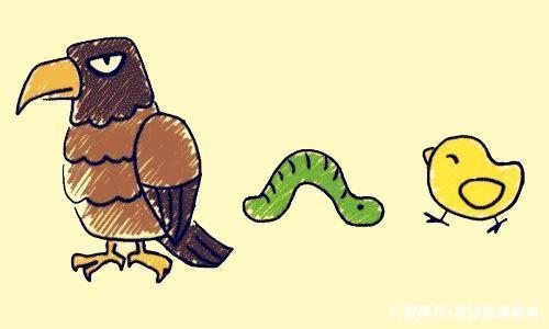 第五幅图,由三种动物组成.从左至右分别是老鹰,虫子,鸡.