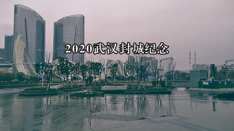 2020年武汉封城纪念视频