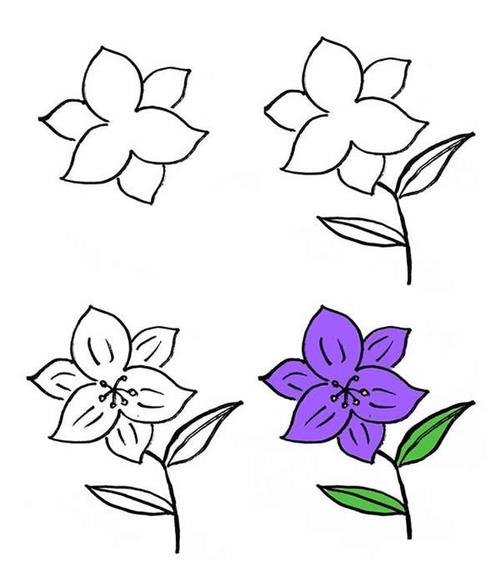 8一11岁简单画花朵