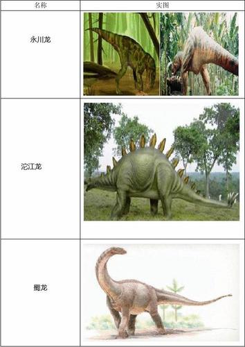 恐龙名称及图片